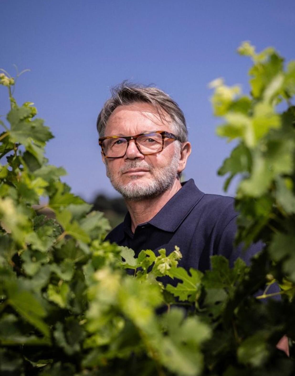 Philippe Troussier among the vines