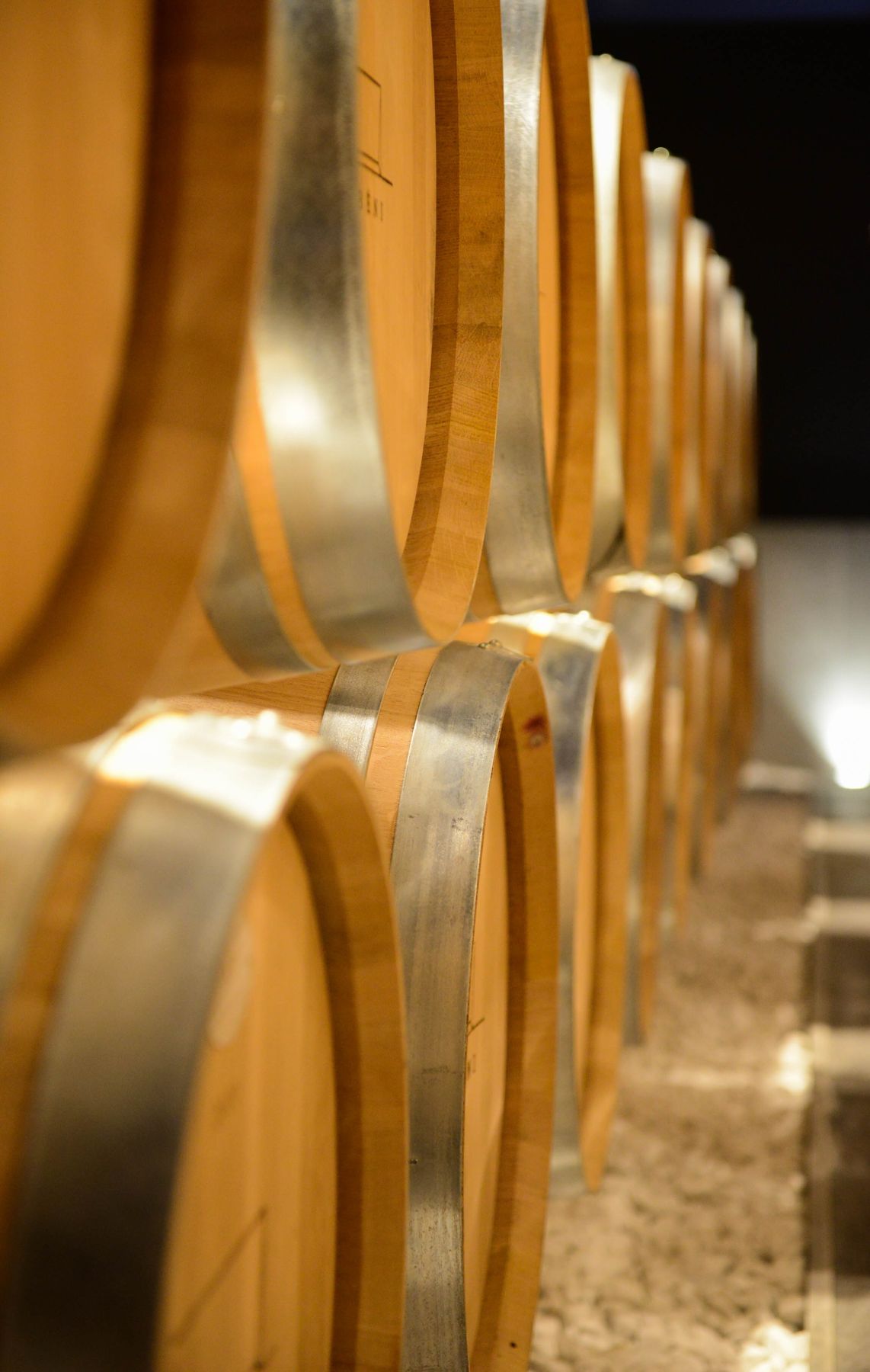 Row of oak barrels